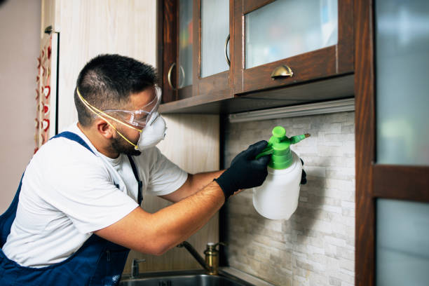 Best Mosquito Control Services  in Springfield, MI