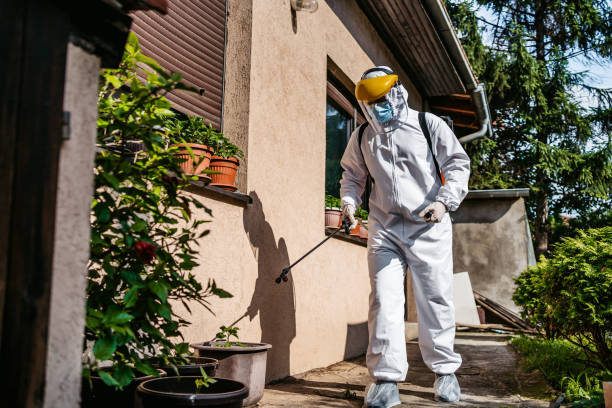 Best Pest Control Near Me  in Springfield, MI