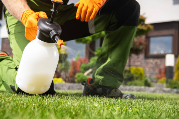 Best Affordable Pest Control Services  in Springfield, MI