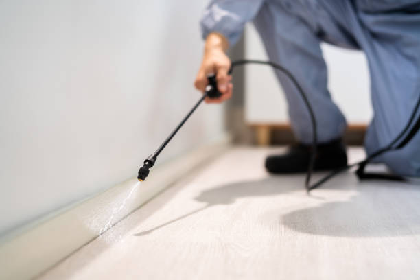Flea Control Services in Springfield, MI