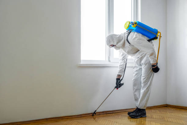 Best Spider Control Near Me  in Springfield, MI