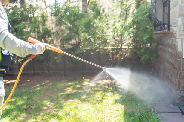 Best Cockroach Control Services  in Springfield, MI