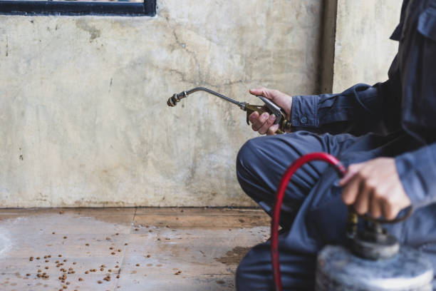 Best Affordable Pest Control Services  in Springfield, MI
